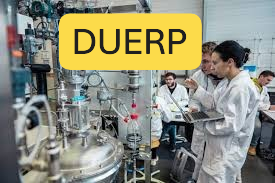 DUERP